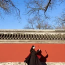 北京旅游 缩略图 6
