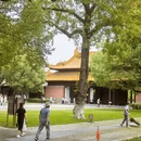 南京旅游 缩略图 4