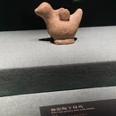 深圳旅游 缩略图 7