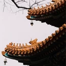 北京旅游 缩略图 8