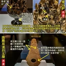石家庄旅游 缩略图 8