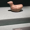 深圳旅游 缩略图 8