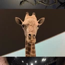 深圳旅游 缩略图 6