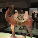 南京旅游 缩略图 16