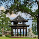 武汉旅游 缩略图 9