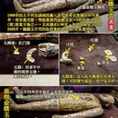 石家庄旅游 缩略图 3