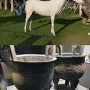 南京旅游 缩略图 1