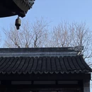 苏州旅游 缩略图 15