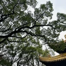 舟山旅游 缩略图 8