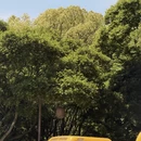 舟山旅游 缩略图 11