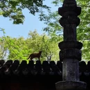 苏州旅游 缩略图 4