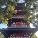 苏州旅游 缩略图 13