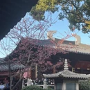 苏州旅游 缩略图 12