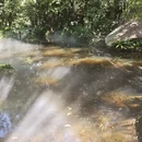 厦门旅游 缩略图 7