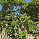 厦门旅游 缩略图 11