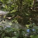 厦门旅游 缩略图 8