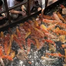 苏州旅游 缩略图 7