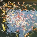 苏州旅游 缩略图 14
