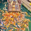 苏州旅游 缩略图 1
