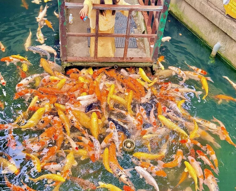 苏州旅游 1