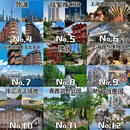 上海旅游 缩略图 1
