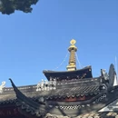 苏州旅游 缩略图 9