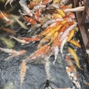 苏州旅游 缩略图 2