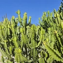 厦门旅游 缩略图 10