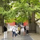 郑州旅游 缩略图 4