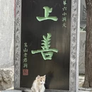 郑州旅游 缩略图 9
