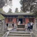 郑州旅游 缩略图 11