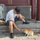 郑州旅游 缩略图 4