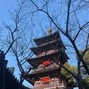 苏州旅游 缩略图 10