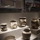 郑州旅游 缩略图 9