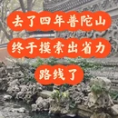 舟山旅游 缩略图 1