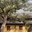 舟山旅游 缩略图 4