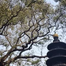舟山旅游 缩略图 3