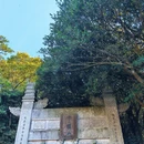 舟山旅游 缩略图 7