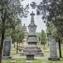 郑州旅游 缩略图 16