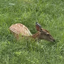 郑州旅游 缩略图 10