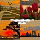 苏州旅游 缩略图 2