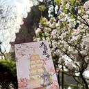 西安旅游 缩略图 7