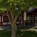 西安旅游 缩略图 6