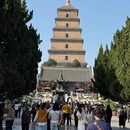 西安旅游 缩略图 2