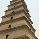 西安旅游 缩略图 12