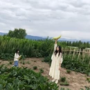 伊犁旅游 缩略图 7