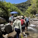 杭州旅游 缩略图 7
