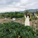 伊犁旅游 缩略图 9