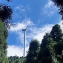 重庆旅游 缩略图 5