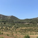 大连旅游 缩略图 5